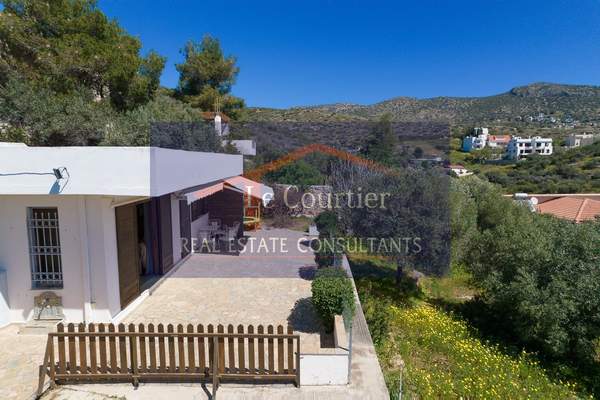 תמונת פורטו ראפטי, מרקו פולו למכירה (0)