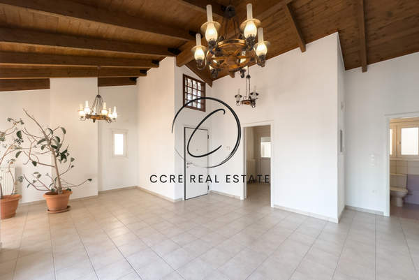 תמונת פאליו פאלירו למכירה (0)