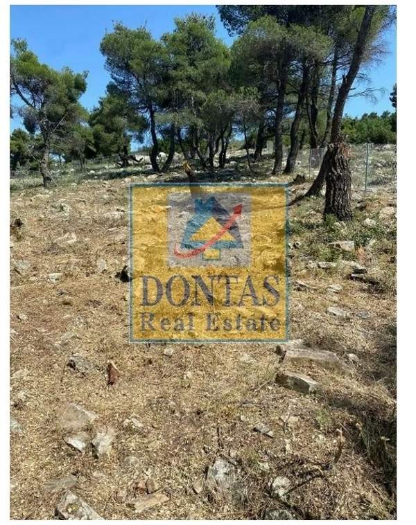 תמונת דיוניסוס, אתונה למכירה (0)