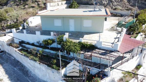 תמונת לאבראוטיקי למכירה (0)