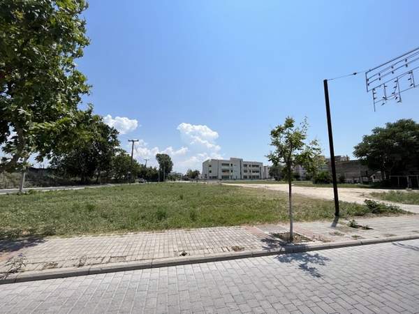 תמונת אמבלוקיפי - מנאמני למכירה (0)