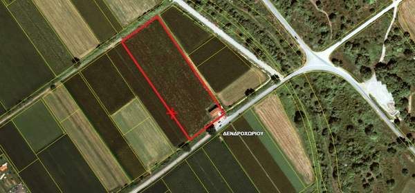 תמונת רשות מקומית טריקלה למכירה