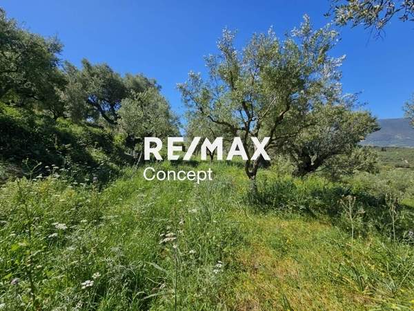 תמונת רשות מקומית זקינתוס למכירה