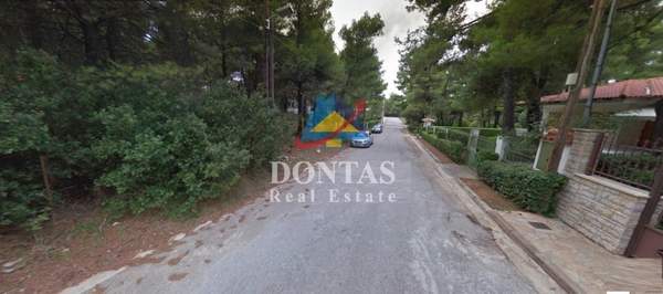 תמונת דיוניסוס, אתונה למכירה (0)