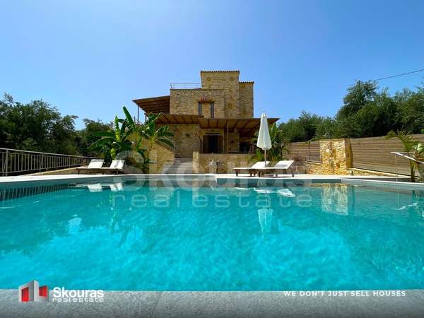 תמונת פילוס ונסטור למכירה