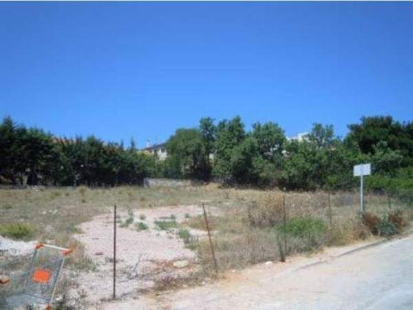 תמונת דיוניסוס, אתונה למכירה (1)