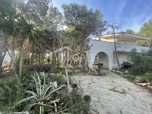 תמונת אנאוויסוס, סרוניקוס, אתונה למכירה (0)