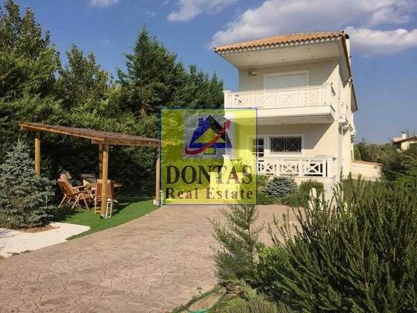 תמונת אכרניס, אתונה למכירה (0)