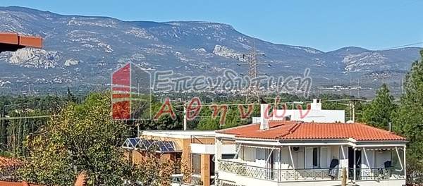 תמונת נאה אריטאריה, קיפיסיה, אתונה למכירה (0)