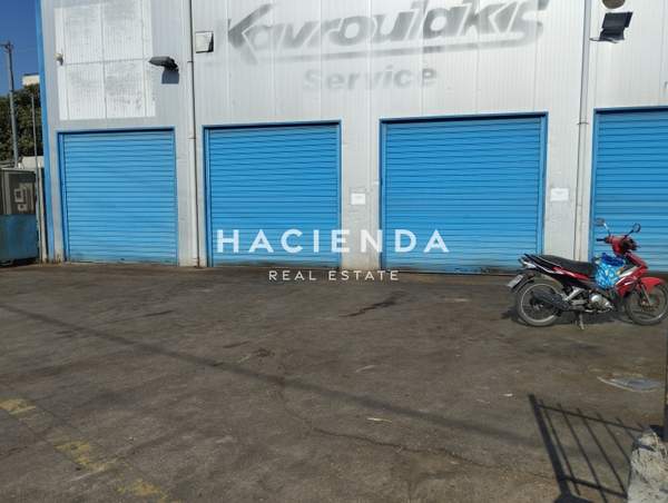 תמונת אכרניס למכירה (0)