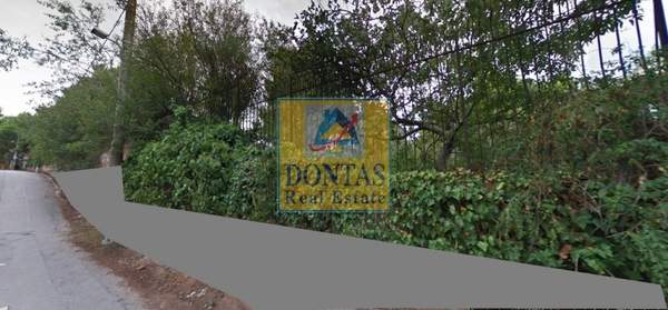 תמונת דיוניסוס למכירה (1)