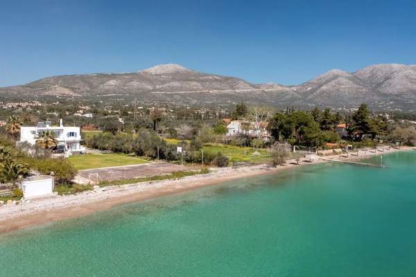 תמונת ארטריה למכירה (0)