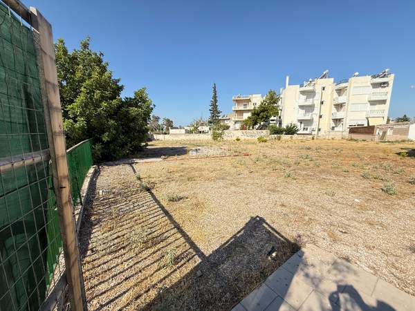 תמונת הליניקו למכירה (0)