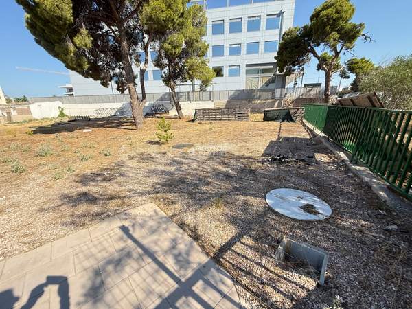 תמונת הליניקו למכירה (1)