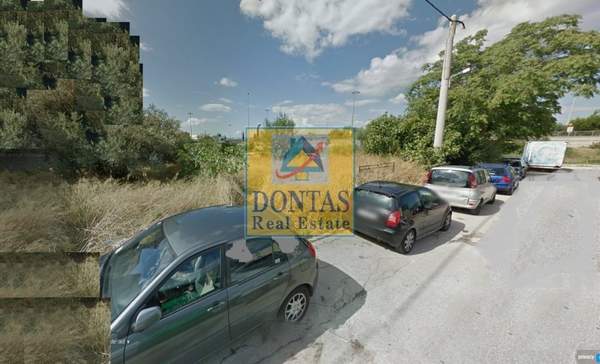 תמונת מטמורפוסי, אתונה למכירה (0)