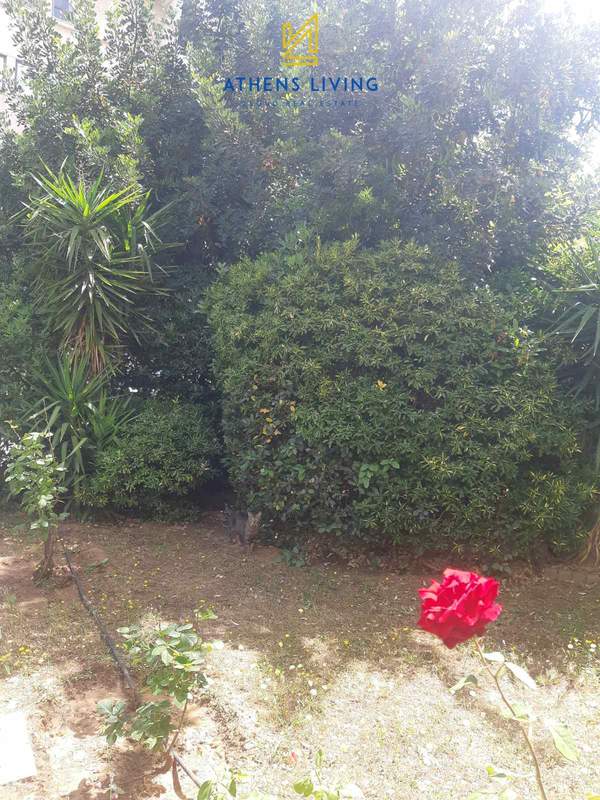 תמונת ואריליסיה, אתונה למכירה (1)