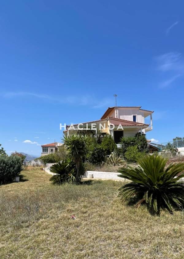 תמונת לוטראקי, פלופונס למכירה (0)