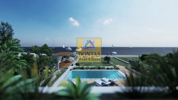 תמונת ארמיונידה למכירה (0)