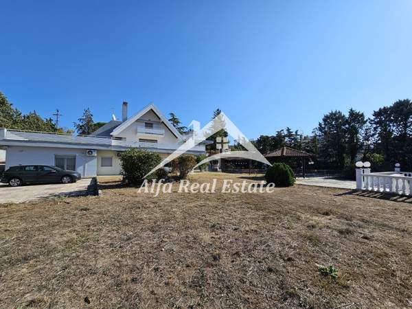 תמונת תרמי למכירה (1)