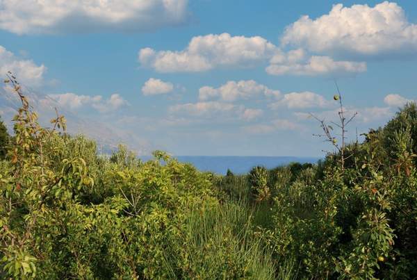 תמונת ארגוסטולי, קפלוניה למכירה