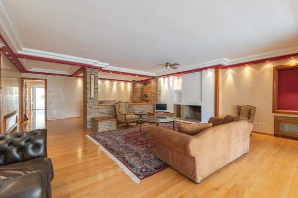 תמונת פאליו פאלירו למכירה (0)