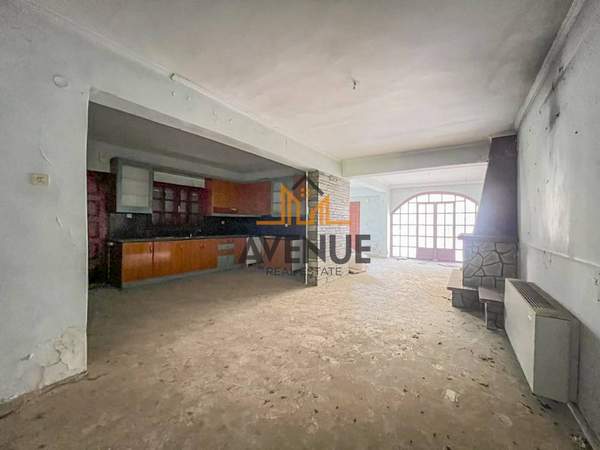 תמונת פאיליה - חורטיאטיס למכירה (0)