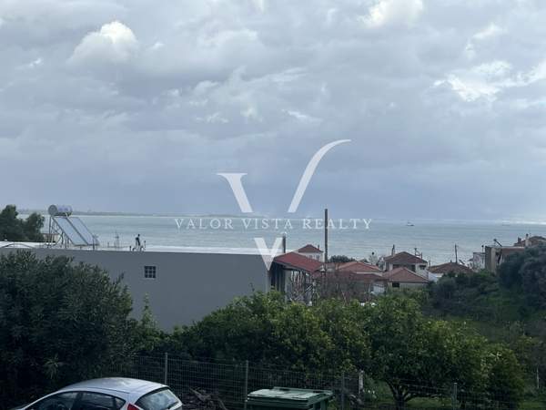 תמונת מסיני, פלופונס למכירה (0)