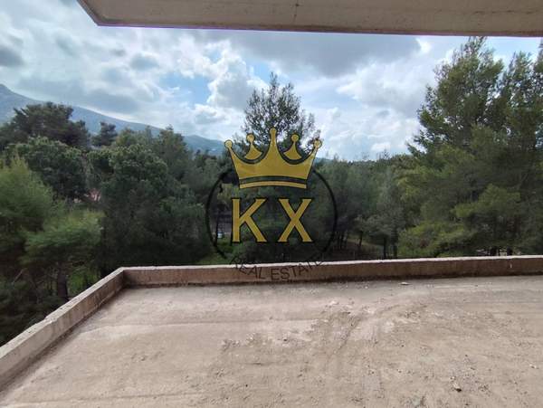 תמונת דיוניסוס, אתונה למכירה