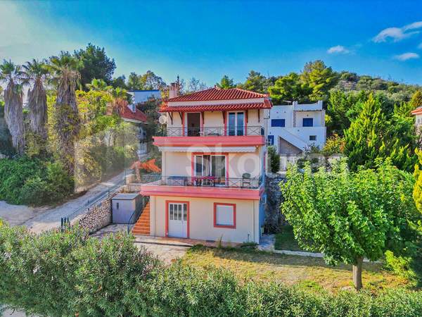 תמונת נאפפליו, פלופונס למכירה (0)