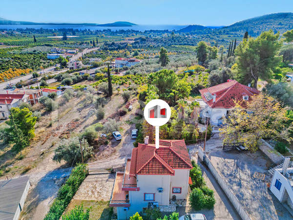 תמונת נאפפליו, פלופונס למכירה (1)