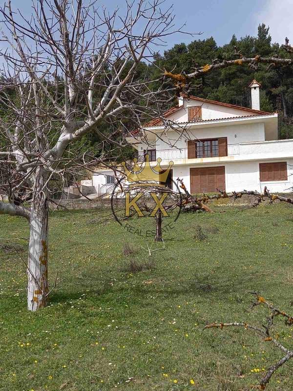 תמונת אורופוס, אתונה למכירה