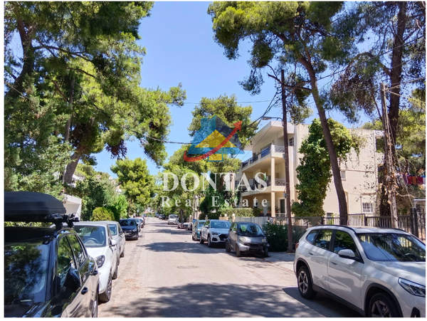 תמונת נאה קיפיסיה, קיפיסיה למכירה (0)