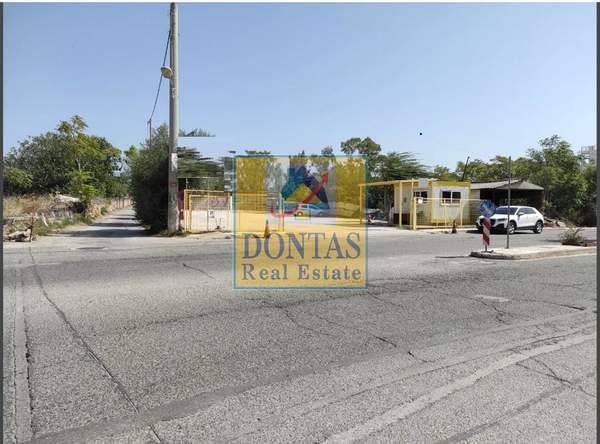 תמונת מרוסי, אתונה למכירה (1)