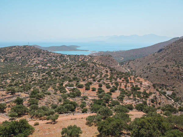 תמונת אגיוס ניקולאוס , כרתים למכירה (0)