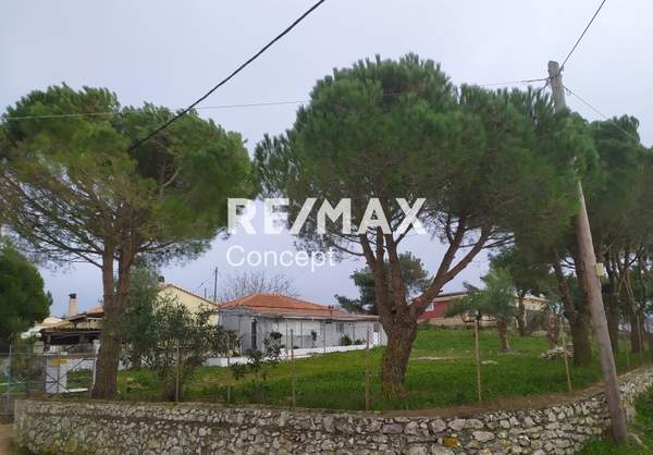 תמונת זקינתוס למכירה (0)