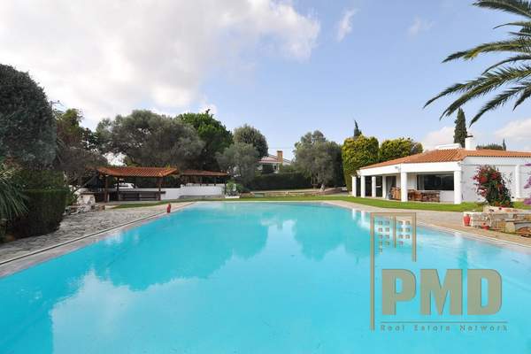 תמונת מרקו פולו, אתונה למכירה (0)