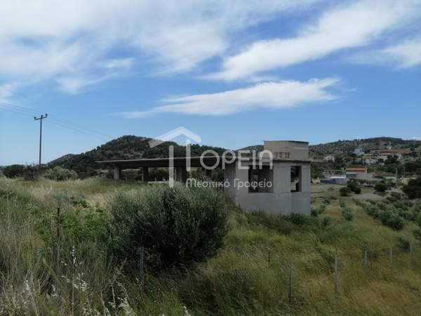 תמונת סרוניקוס למכירה (1)