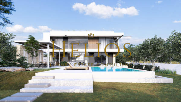 תמונת פילוס ונסטור למכירה (0)