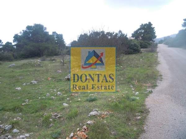 תמונת אורופוס למכירה (0)