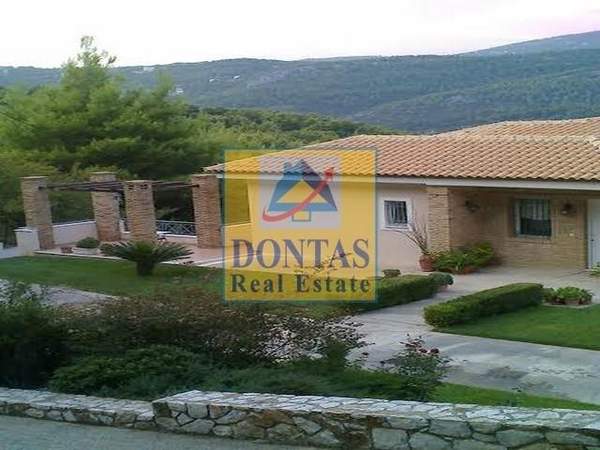 תמונת אורופוס למכירה (0)