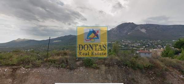 תמונת דיוניסוס, אתונה למכירה (1)