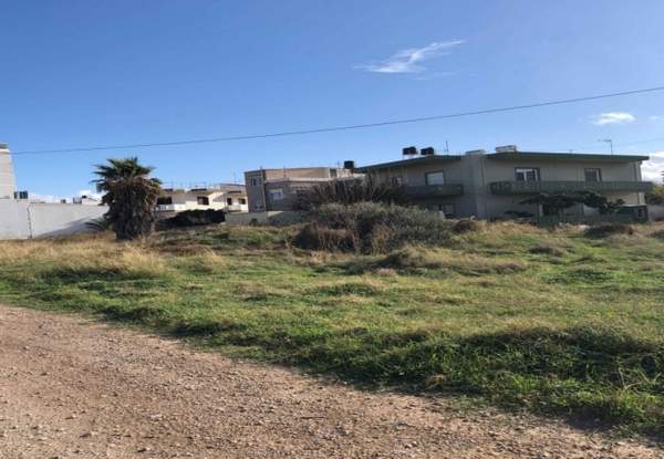 תמונת קיסאמוס למכירה (0)