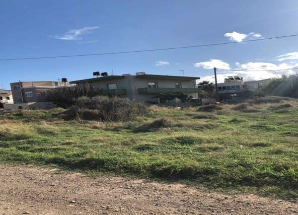 תמונת קיסאמוס למכירה (1)