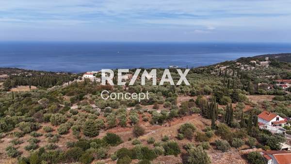 תמונת זקינתוס למכירה (0)