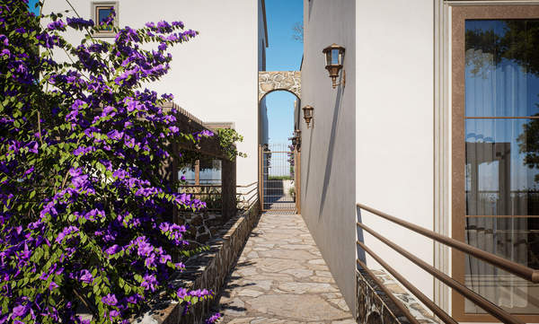 תמונת אפוקורנס למכירה (1)