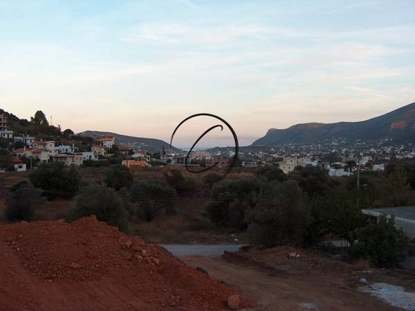 תמונת פורטו ראפטי, מרקו פולו, אתונה למכירה (1)