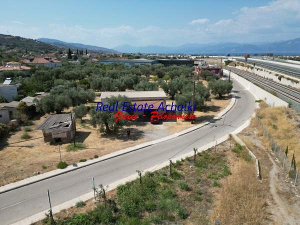 תמונת איגאליאה למכירה