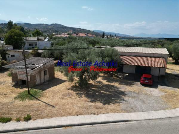 תמונת איגאליאה למכירה