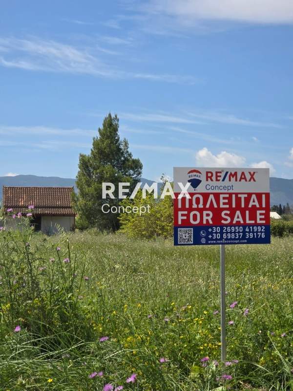 תמונת רשות מקומית זקינתוס למכירה