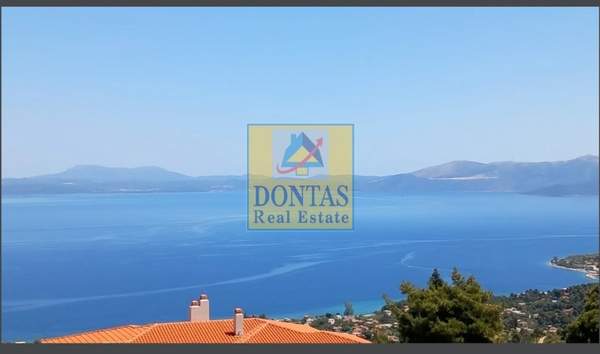 תמונת אורופוס, אתונה למכירה (0)